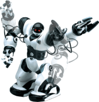 Picture of robosapien